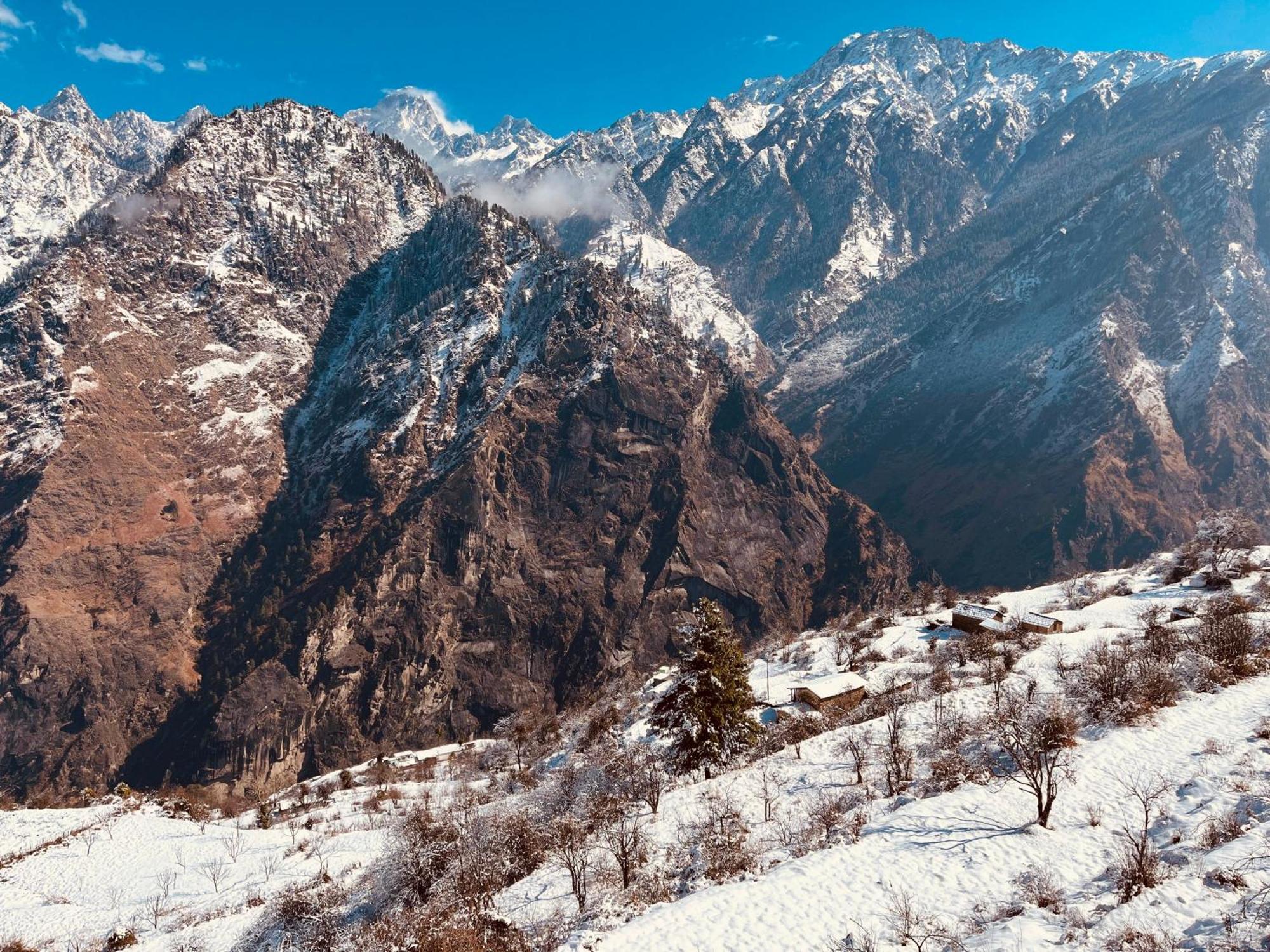 Faraway Cottages, Auli Joshīmath Dış mekan fotoğraf