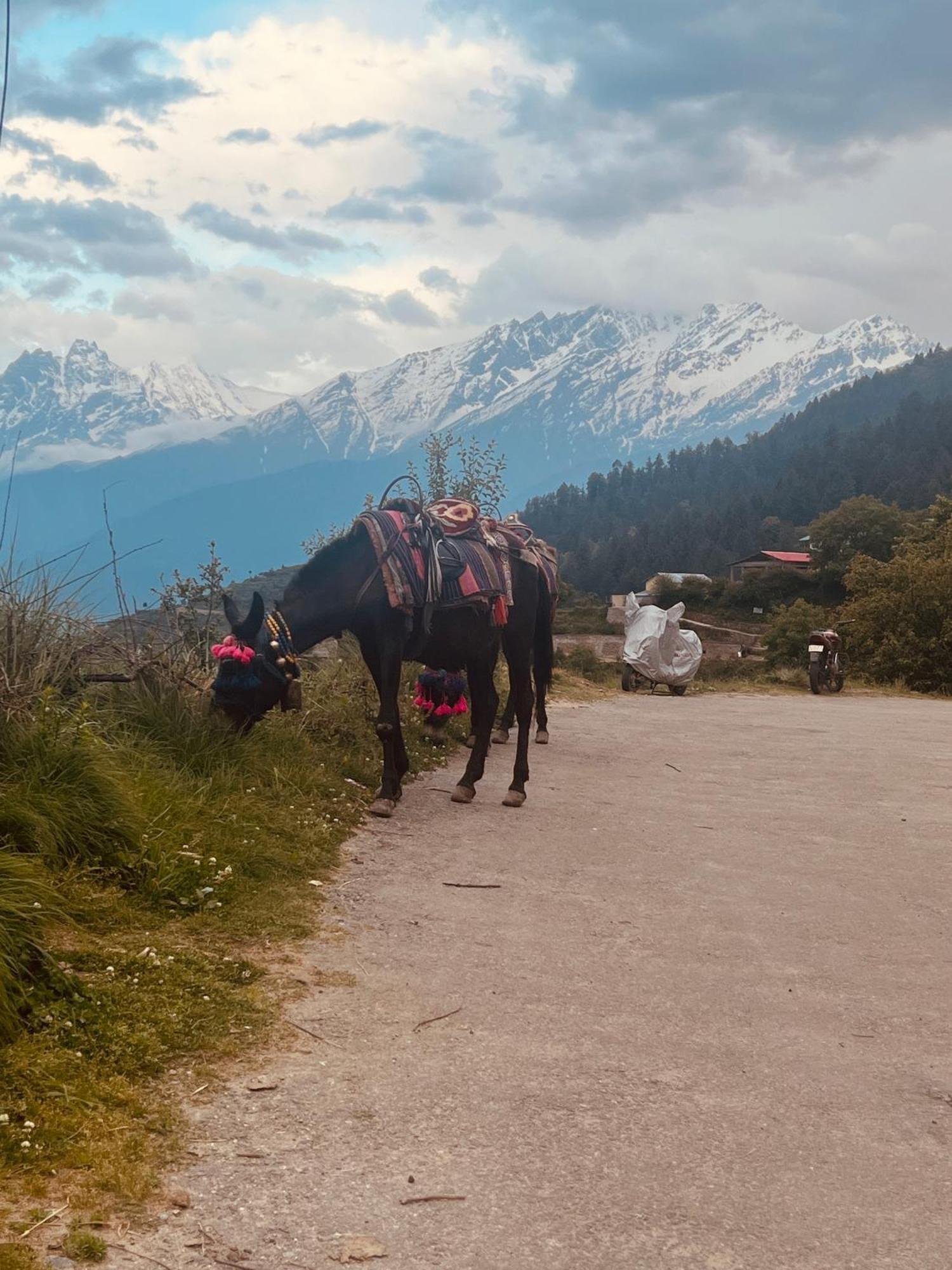 Faraway Cottages, Auli Joshīmath Dış mekan fotoğraf