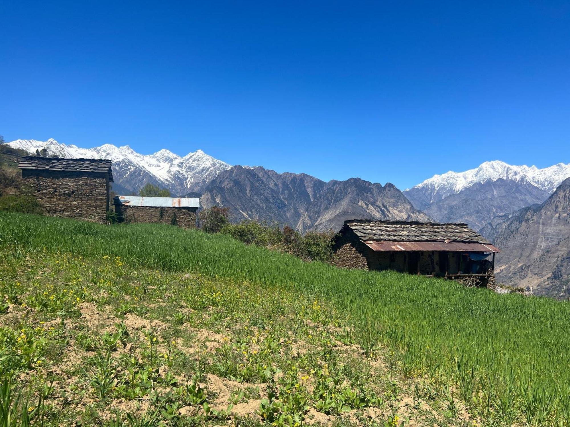 Faraway Cottages, Auli Joshīmath Dış mekan fotoğraf