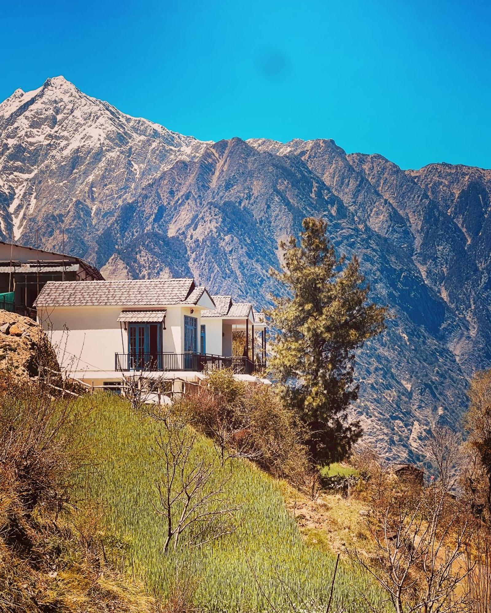 Faraway Cottages, Auli Joshīmath Dış mekan fotoğraf