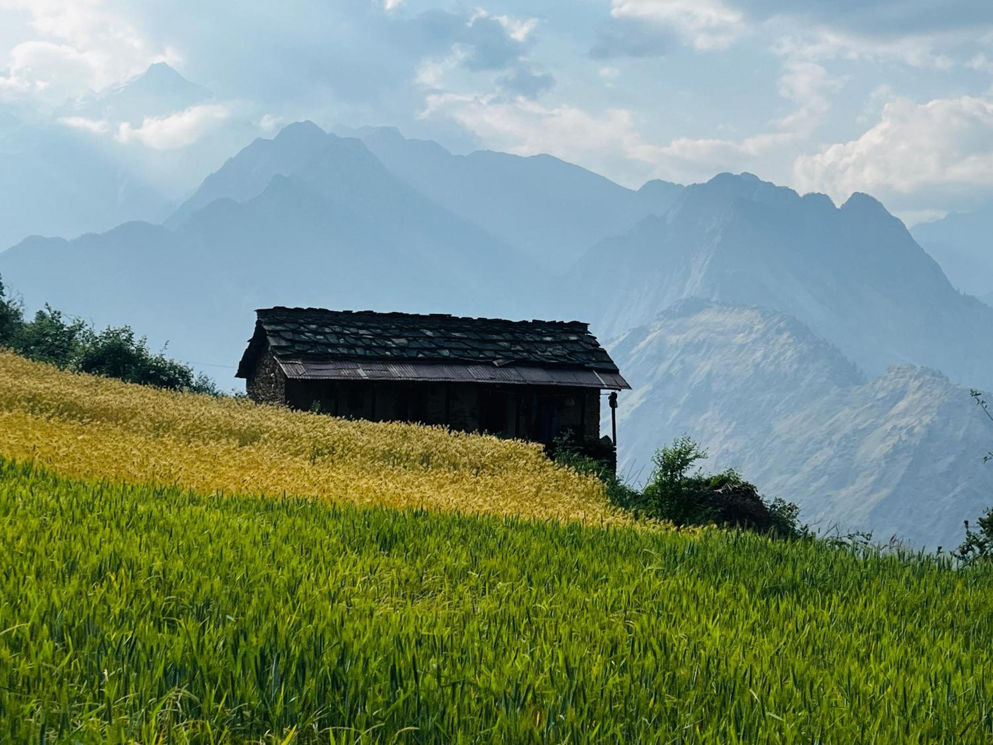 Faraway Cottages, Auli Joshīmath Dış mekan fotoğraf